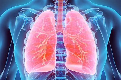 Pulmonology .